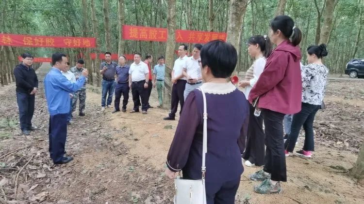 全国割胶冠军张健给各单位学员做标准化胶园建设及割胶技术的经验介绍。.jpg